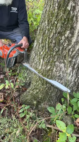 It’s Monday @Boys In The Woods @GREENBEAN👑🦆 @Husqvarna USA @Matt D 