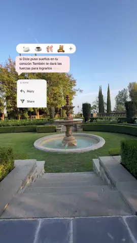 🤍✨🙌🏻🙏🏻