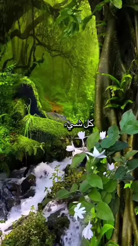 #اكسبلور 