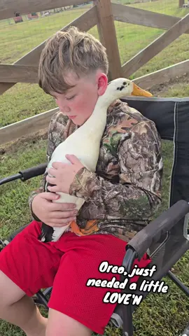 Oreo, just needed some love'n she wanted a hug..   #ducks #hugs #dirtduck #sweetduck