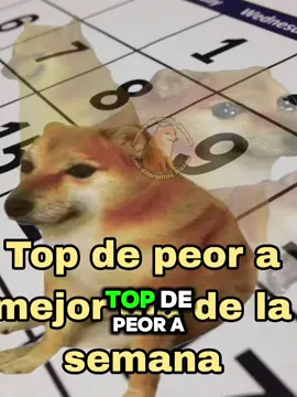 y cual es su dia favorito 👀 #semana #top7 #cheems #viernes 