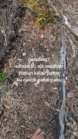 #petanimuda #petanisawit #fyp #foryoupage #masukberandafyp 