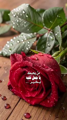 #لايك_متابعه_اكسبلور #من يحبگ ياجعل قلبه بخير/ فهد ابن فصلا 🤍#اكسسسسسسسسسسسسسبلوررررررررر 