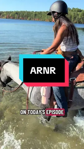 All risk no reward 😂😂 @Heather🌹 is my newest victim of the water 😂😂😂 should I put a video of all of them together?!?! #horse #water 