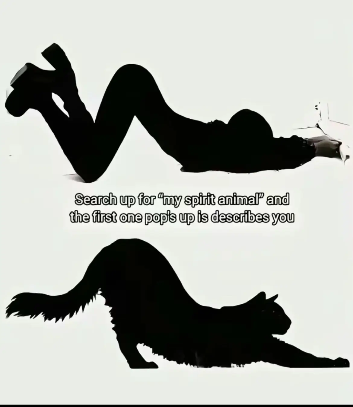 not beating the weasel allegations #sable #spiritanimal 