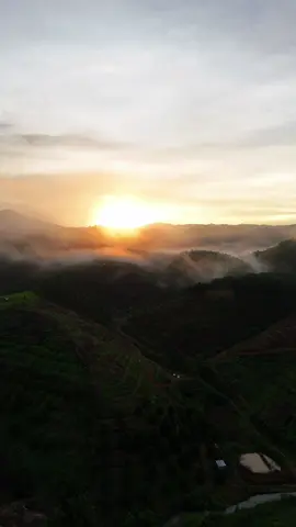 Ngã Ba Mỹ Đức xin kính chào quý khách. 