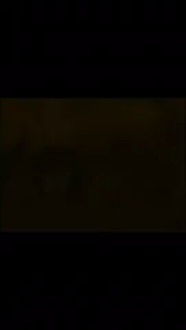 Wiege !! I got lazy at The end but lifesteal x Alien stage yay 🥀🥀 #lifesteal #lifestealsmp #alienstage #Minecraft #lssmp 