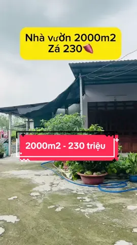 Nhà Vườn Siêu Xinh 2000m2 #xuhuong #xuhuongtiktok #batdongsangiare #sieuphamnhadep #bđssaigon 