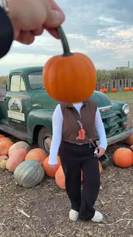 I had to . This trend is so cutee 🧡🍂🎃 #trend #pumpkinfarm 