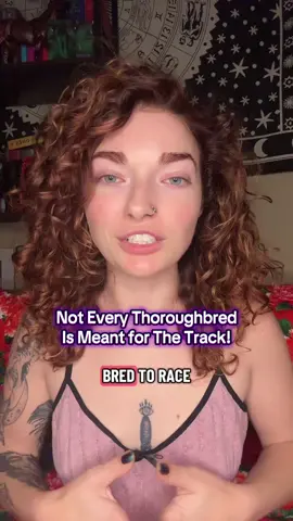 @Abaco Sporthorses now owns Irish and I can’t wait to see what she does with him! He’s already so spoiled. Maybe he figured out the secret code to life 😅 #horsebreeder #horsetok #equestrian #foalsoftiktok #horsesoftiktok 