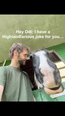 This won’t be a regular feature, so enjoy it while it lasts. 🤣 Today’s Highlandlarious horse joke… #Horse #Jokes #Pun #Humour #Humor 