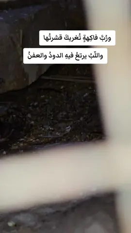 #مشاهدات #تصميمي #هاشتاق #استوريات #هاشتاك 