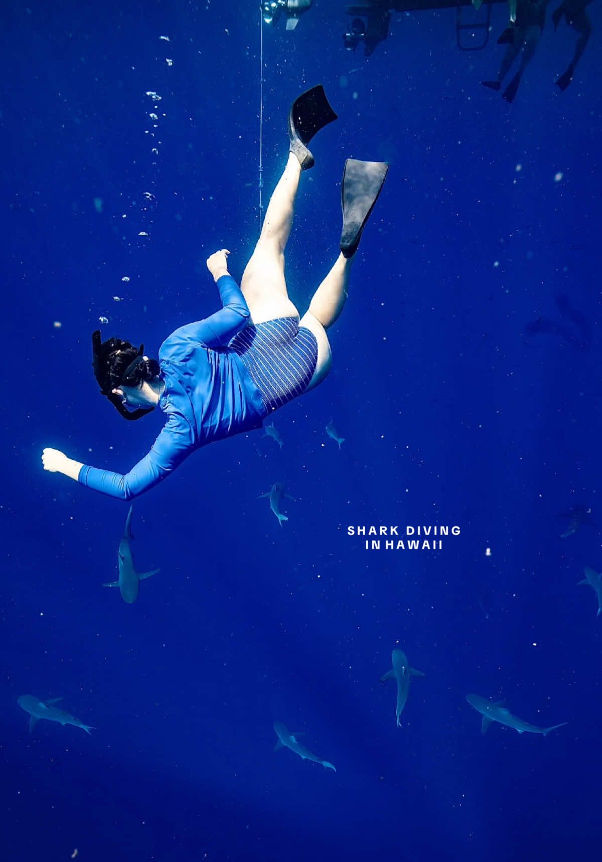 When i say im outside?! This is what I mean 😊 definitely a 10/10 experience!!! If you ever get the opportunity, GO FOR IT 🦈💙  I am such a water girl so this brought me peace that is hard to explain. I conquered one of my fears and also checked mark another thing off of my bucket list 🙌🏼  @OneOceanDiving @Ocean Ramsey Sharks #oneoceandiving #oneocean #sharks #sharkdiving #hawaii 