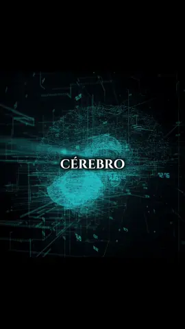 O cérebro humano pode armazenar cerca de 2,5 milhões de gigabytes de informação. Energia de uma lâmpada, poder de um universo. #neurociencia #cerebrohumano #mente #educação #foryou 
