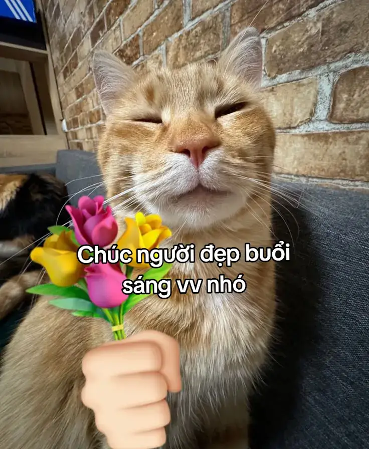 buổi sáng vv nhó#TikTokAwardsVN #viralvideo #viral #xh 
