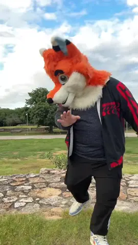 Obligue a mi amigo @BicolorFox a bailar JAJAJA no sé porqué no lo había subido #furry #furryfandom #merida #furrytiktok 