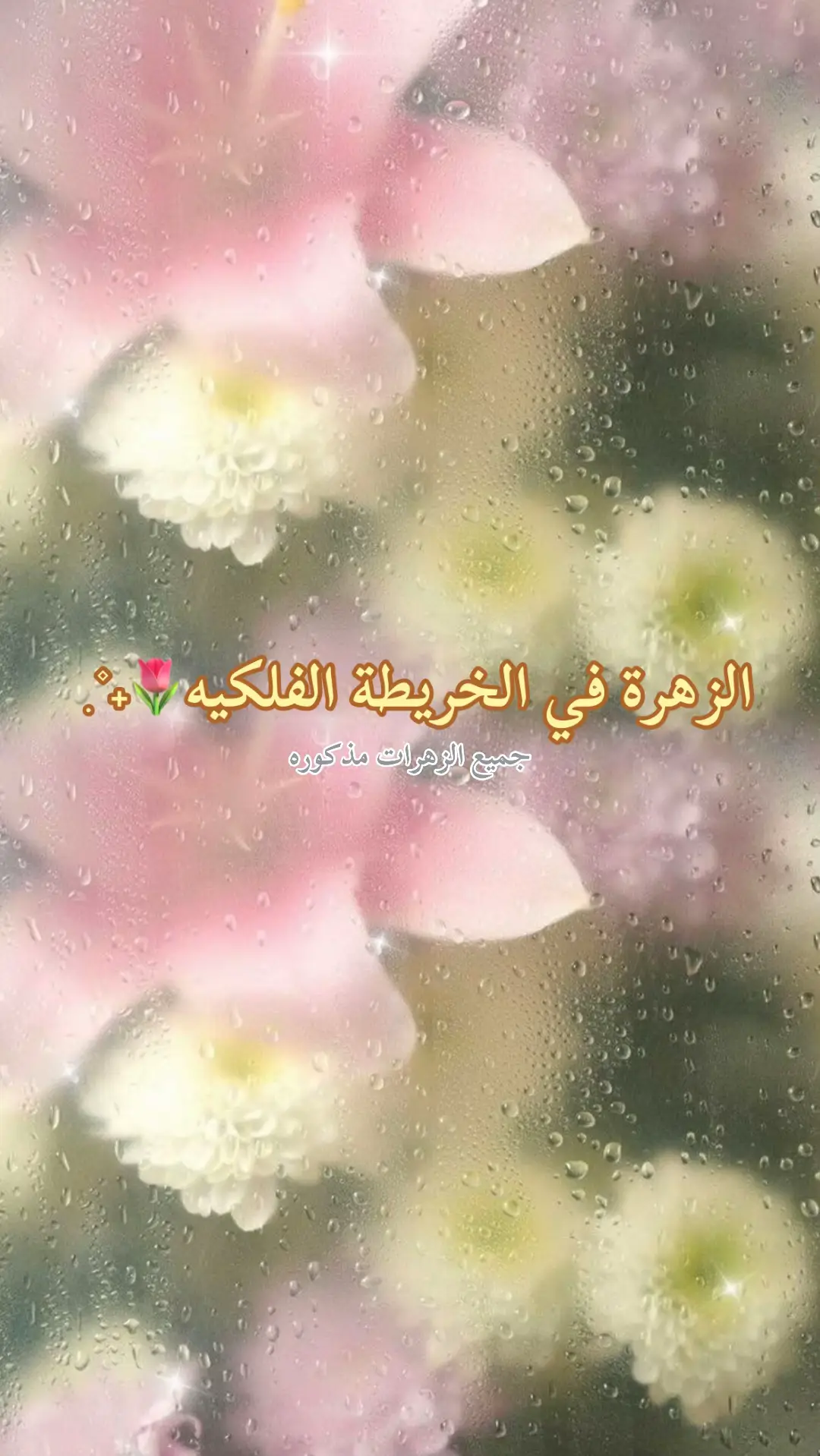 #astrology #fyp #استرولوجي #خرائط_فلكية #تحليل_خرائط_فلكيه 