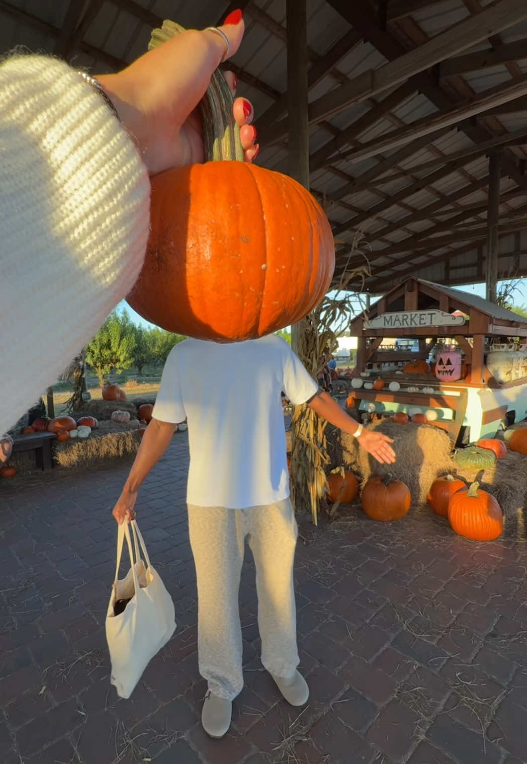 Pumpkin patch date! 🍂🤍 #desandnaz #couples #relationshipgoals #fyp 