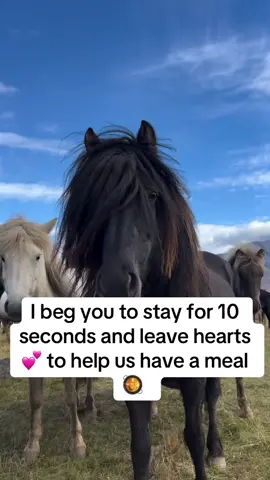 Link in bio #StopTheKill #SaveTheHorses #EverySecondCounts #horsese #viralforgood 