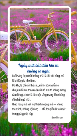Ngày mới bắt đầu khi ta buông lo nghĩ #tamtrang #chualanh #foryou #binhyen #xuhuong #hanhphuc 