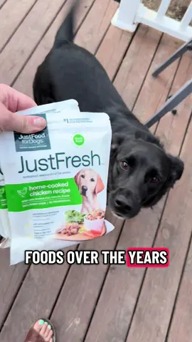 Amazon link in my bio 💕 #dogsoftiktok #petlover #doglover #dogmom #dogtok 