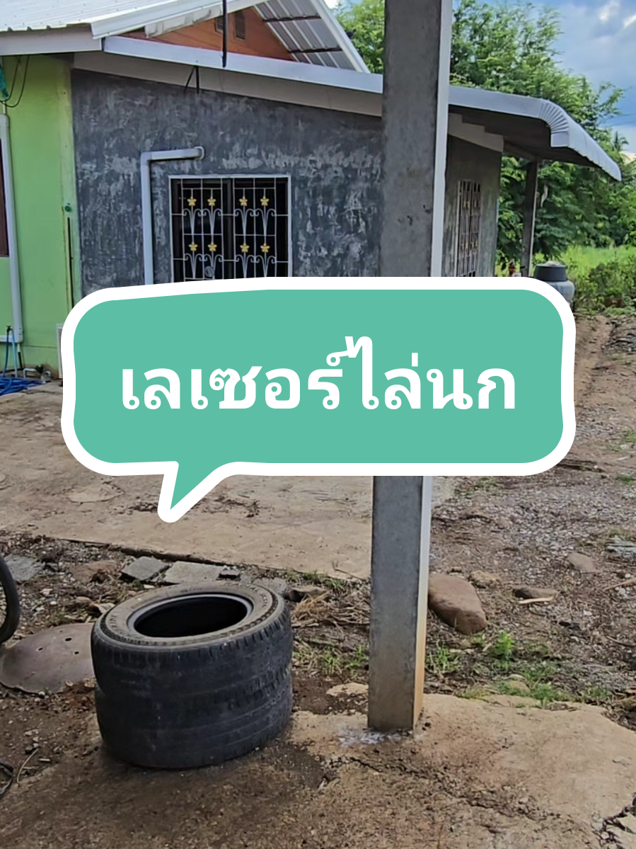 #เลเซอร์ไล่นกพิลาบ #เลเซอร์ไล่นก #เลเซอร์แรงสูงไรนกได้ #เลเซอร์แรงสูง #เจนนี่ได้หมดถ้าสดชื่น 