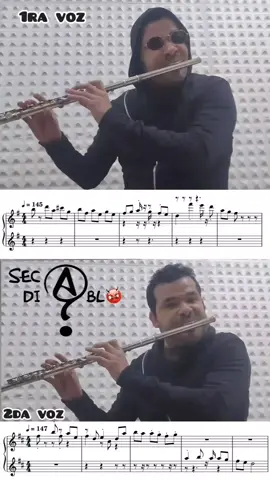 #hotelcalifornia #solo #eagles #flauta #santacruzdelasierra🇳🇬 