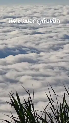 ไปเเตะหมอกภูทับเบิกกันครับ#ภูทับเบิก 