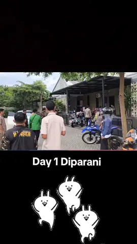 weladalah Admin langsung disuruh klarifikasi cik😸 SC:Ftv jember #stevenyoung #banser #nu #jember 