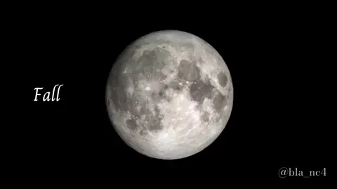 Fall in love again. Bajo la misma luna, volví a creer en el amor.🌒 #corpsebrideedit #wherehaveyoubeen #fallinloveagain #lyrics #songlyrics 