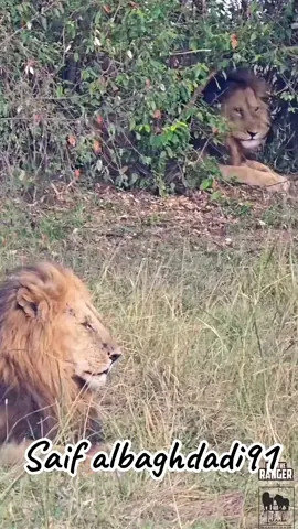 #الاخ_الاكبر_هو_اول_ظل_تعلمت_ان_تمشي_بجانبه_دون_خوف  . . . . . . . #كلمات #عبارات #اقوال #اقتباسات  @الشيخ طال عمره🕶️💰 @لحن الحياة @وجع القلب  @👽NADI ADEL👽 