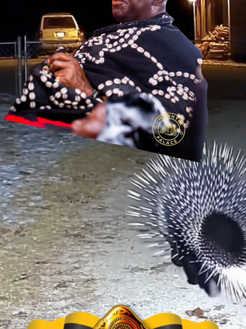 #goviral #ghana #asanteman #kumasitiktokers #ghanatiktokers🇬🇭🇬🇭🇬🇭 