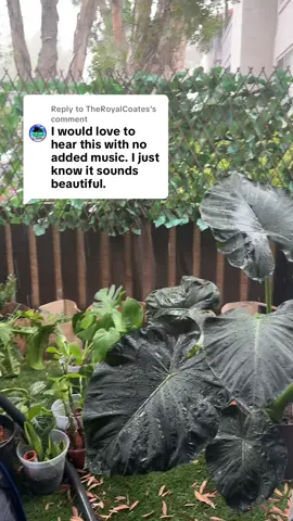 Replying to @TheRoyalCoates perfection