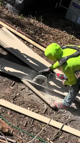 @ČHŮY * @jetzaelrm7 @David Ocegueraa @Ivan @Aaa an @El mojo jo jo 🥴😁 