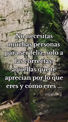 No necesitas muchas personas para ser feliz, solo a las correctas: aquellas que te aprecian por lo que eres y cómo eres ... #reflexiones✅ #frases✅ #motivacion✅ 