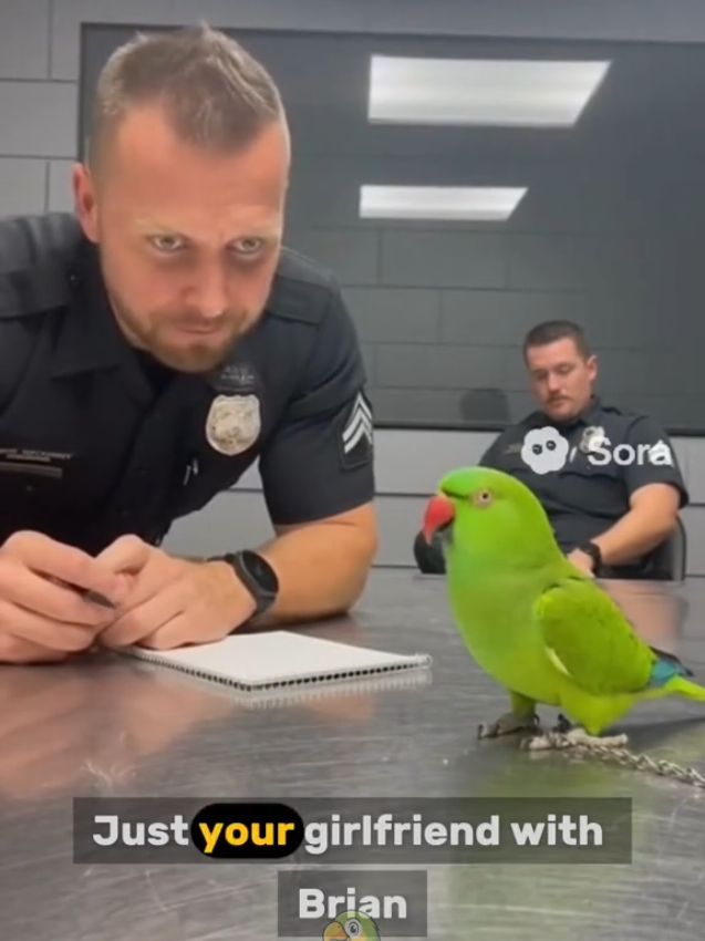 Agent Coco's Best Police Moments 😂🦜 #parrot #tiktokviral #comedy #fyp 
