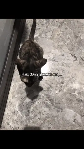 Haiz dung ghet em ma...#TikTokAwardsVN #xuhuongtiktok #tamtrang #camxuc #tinhyeu 