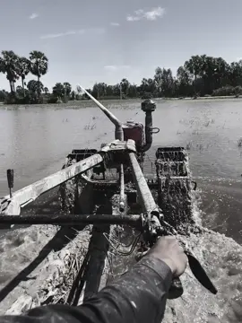 ស្ទាវស្រែៗ🙂❤️#foryou #fyp #ចក្រីផ្ទះខ្ញុំ🙂 @ចក្រី ផ្ទះខ្ញុំ 💚 