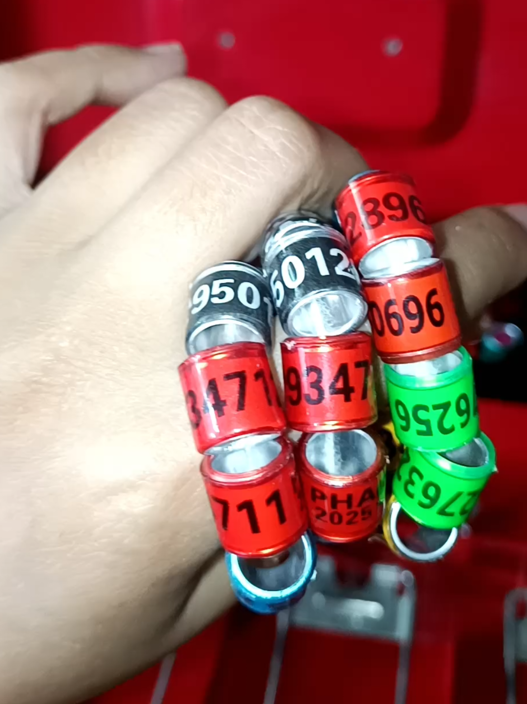 singsing ng kalapati para sa inyo mga kalapatids. maganda ang quality nito 2025 to 2026 just look at the yellow basket (pigeon ring for pigeons)  #pigeon #kalapatidsph🇵🇭 #kalapati #kalapatids #pigeons 