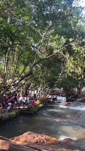 Vườn Địa Đàng Đà Lạt ….  nơi có các loài hoa đang đua sắc, có dòng suối róc rách và ánh nắng xuyên qua kẽ lá chiếu xuống mặt nước lấp lánh. Bước qua cây cầu gỗ như bước vào khung cảnh đầy mơ màng và đầy chất thơ… lạc vào khung cảnh cổ tích 😍😍😍 #dalat #chill #dulich #view #nhachaymoingay 