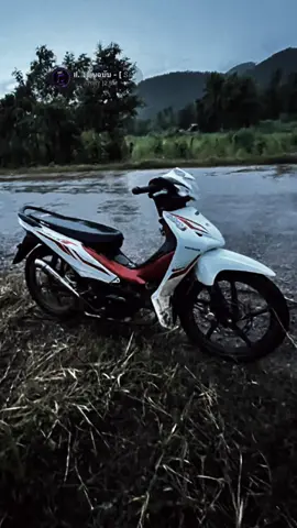 มีให้แค่เท่านี้มีเพียงแค่เท่านี้ #ฟีดดดシ #เวฟ110i 