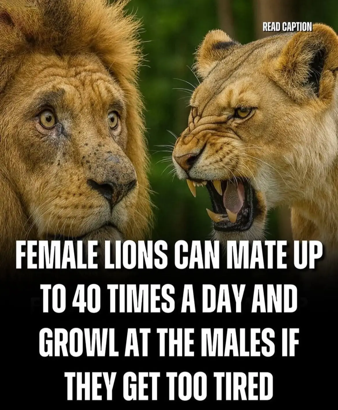 I know I’m funny thanks 😝😂