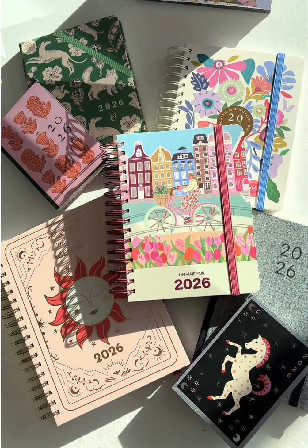 Los rumores eran ciertos... 👀✨ ¡Las agendas 2026 de Casaideas ya llegaron a nuestras tiendas y a casaideas.com! El diseño propio con todo el sello Casaideas que toda girl quiere para organizar su nuevo año desde ya 💕. Corre por la tuya... que vuelan 🪽 #bolivia🇧🇴tiktok🇧🇴 #agendas2026 #casaideas #2026 #bolivia🇧🇴 