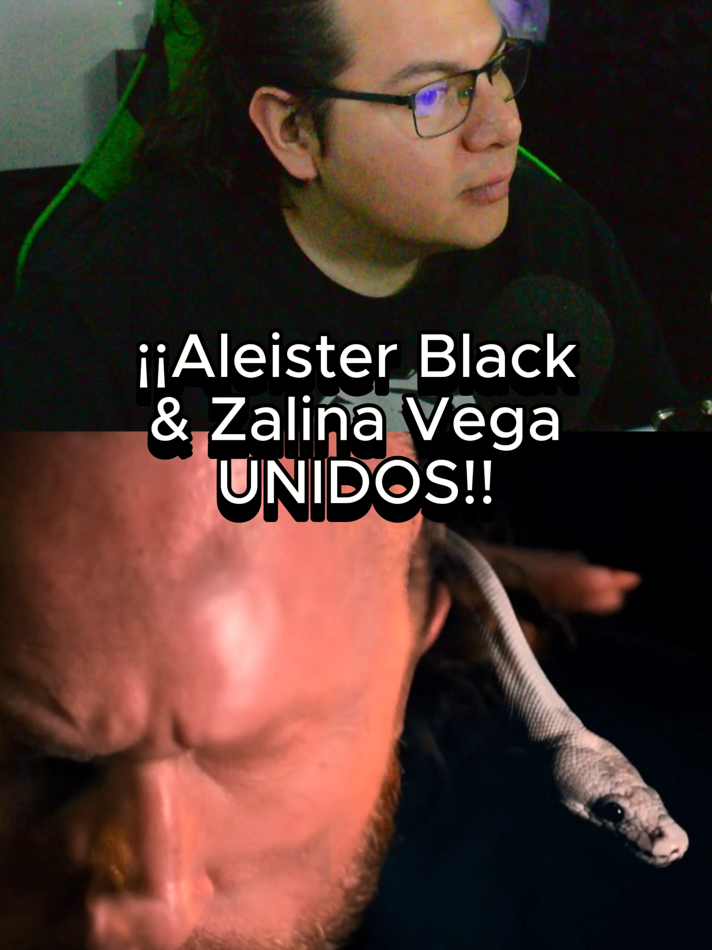 ¡¡Aleister Black & Zalina Vega UNIDOS!! #AAA #WWE #wrestletok #wrestling #prowrestler #WrestleMania #alltime #reto #raw #smackdown #historia #wewantcody #TOP #op #edit #wrestlingtiktok #aew #aaa #campeon