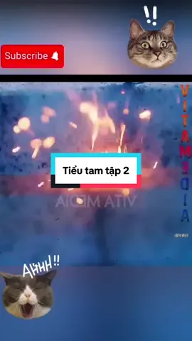 Tiểu tam tập 2 #xuhuong #reviewphim #reviewphimhay 