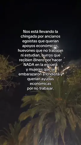 Lo vi por aquí y estoy de acuerdo aunque yo también soy madre soltera eso para mí no es la manera correcta 🥺☹️ todos deberíamos de tener la estabilidad económica para mantener un hijo😔. Todo se está llendo alch por una mala decisión por unos cuantos pesos que acepten y votos comprados, México me dueles 💔#gobierno #mexico🇲🇽 #morena #viral #fbyツ 