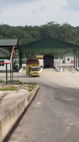 Hallo Prenn✋🏻  @Depii🌷 @Fauzi @supir_bapak @yaudah, iya. @BOSS 121 AN @Blarak sengkrak part3🚀 @🆈🅾🅿🅸 🅰🆁🆅🅸🅽 @Bg Tan @A @aldi variasi @Bengkel pesawat tempur(RMJ)🛠️ @kulbi_l🅰️geee❗️❗️❗️ @RISQON  RAMADHAN #trucksawit #storysawit 