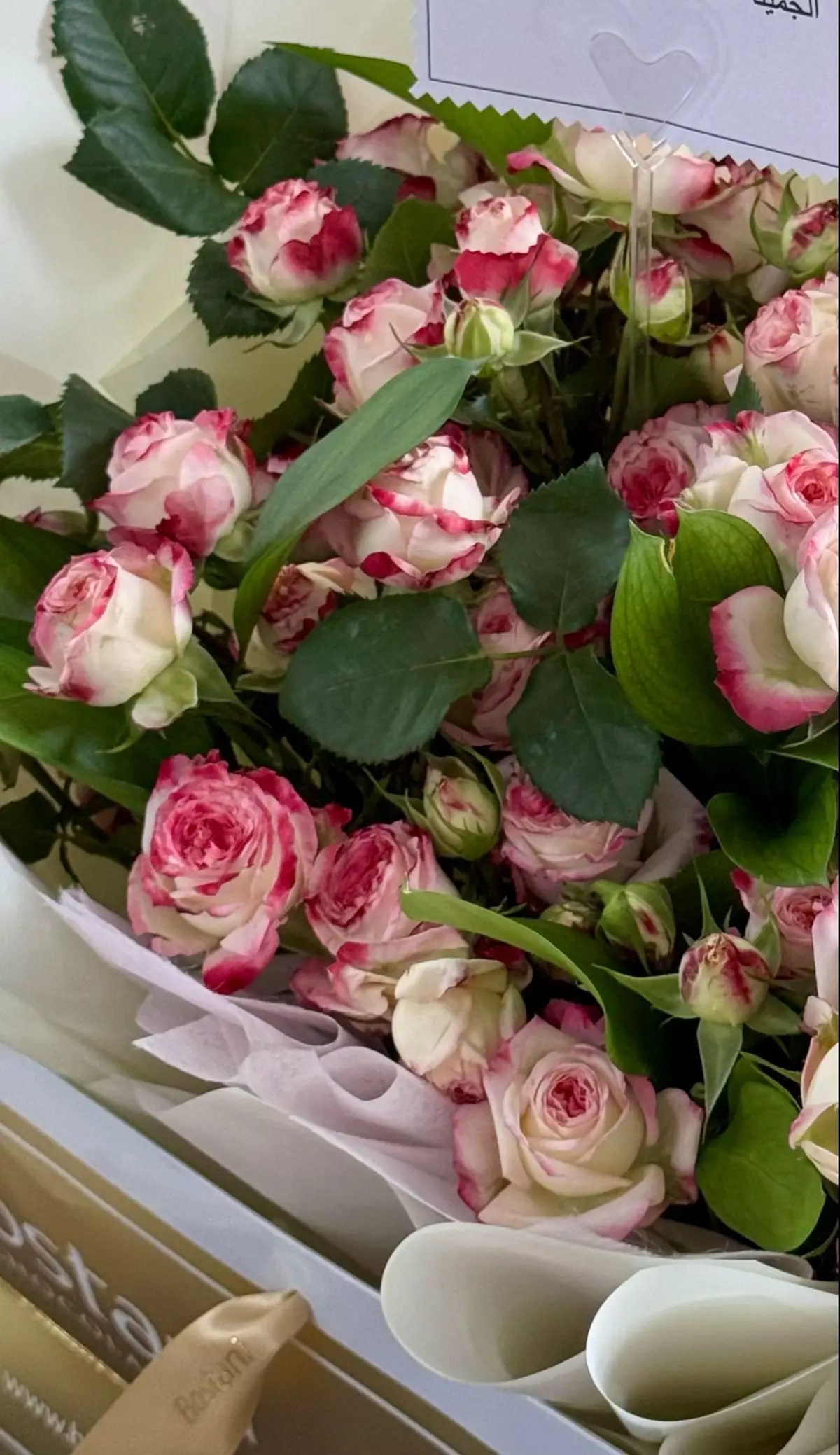 #fyp #أكسبلور #مالي_خلق_احط_هاشتاقات #صور 