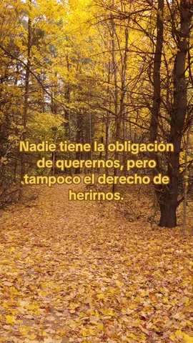 Toda relación debe sustentarse en el respeto. #parati #fyp #reflexión #madurezemocional #respeto