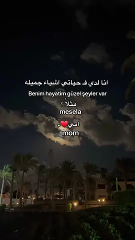 ربي يطولي بعمرها❤. #explore #like #you #yyyyyyyyyyyyyyyyyyyyyyyyyyyyyy 